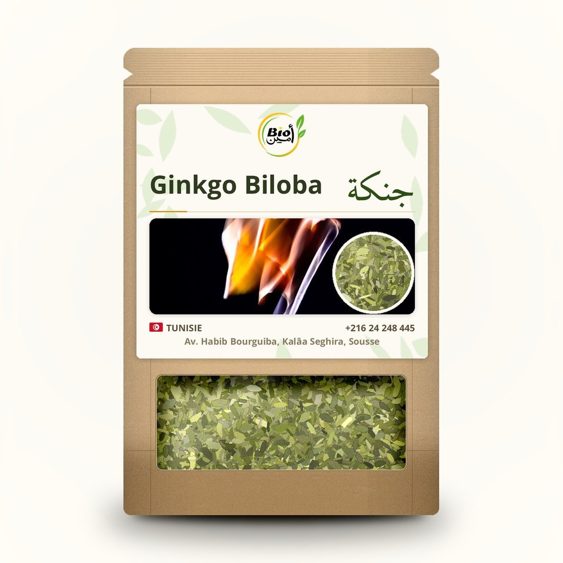 Ginkgo Biloba