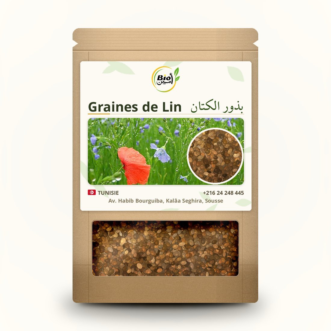 Graines de Lin