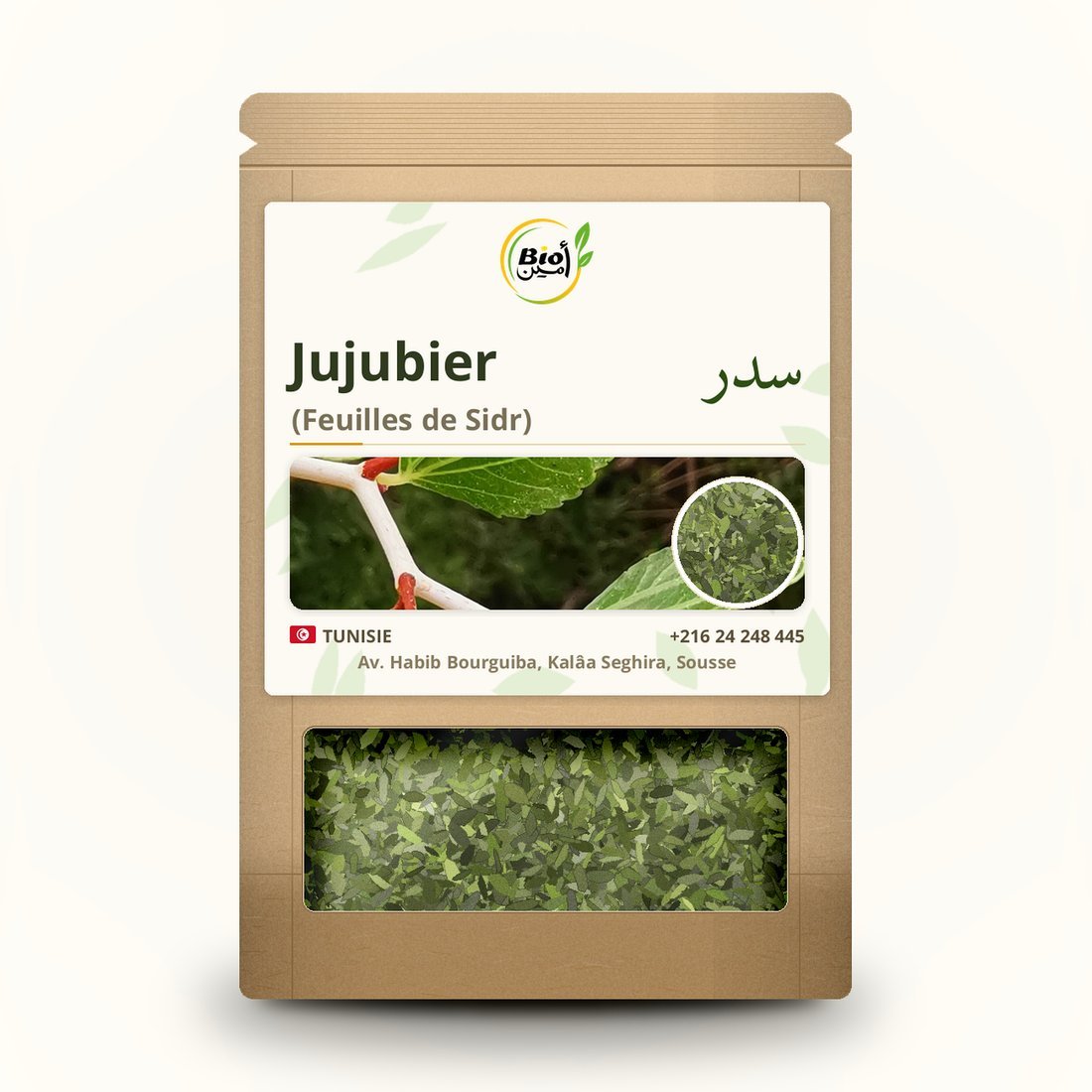 Jujubier (Feuilles de Sidr)