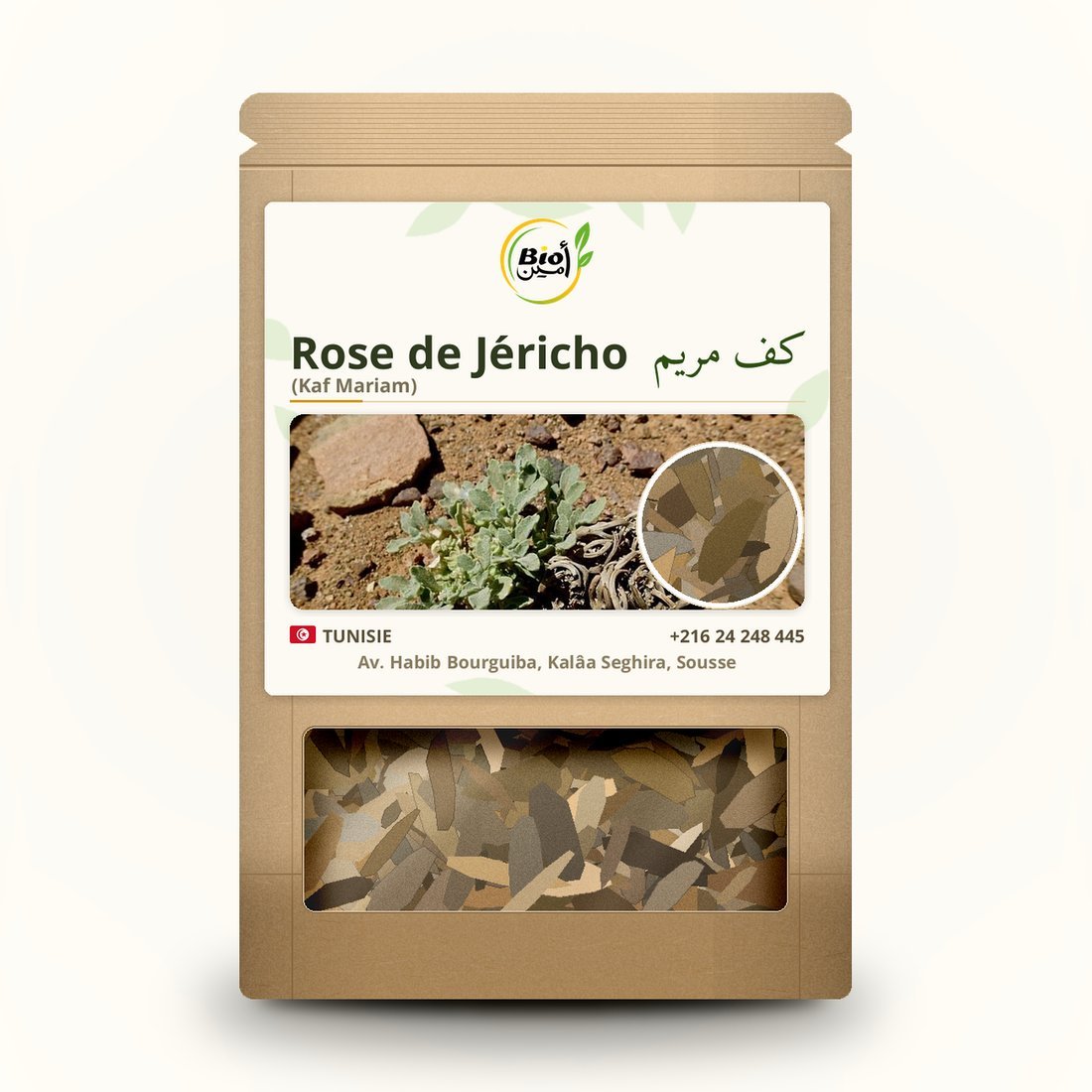 Rose de Jéricho (Kaf Mariam)